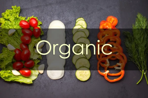 Organic Food Wholesaler
